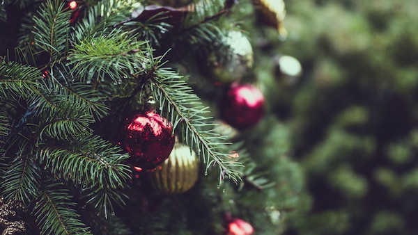 holiday-greeting-bc-colleges